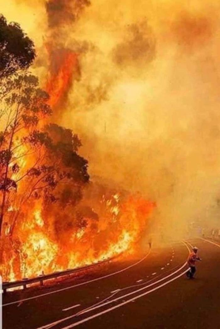 58 фото, які показують, як виглядає Австралія зараз
