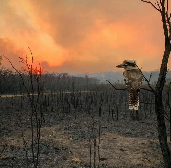 58 фото, які показують, як виглядає Австралія зараз