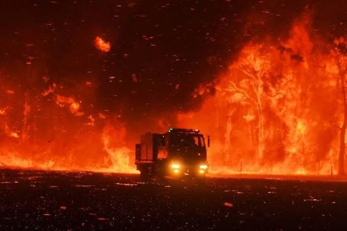 58 фото, які показують, як виглядає Австралія зараз