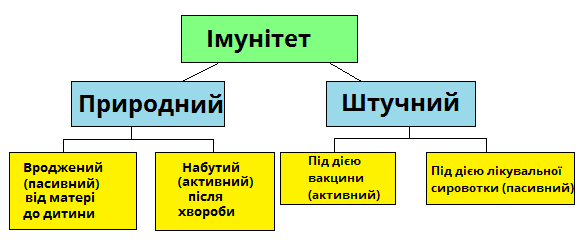 Пасивний імунітет - Що таке пасивний імунітет?