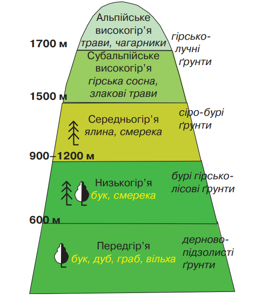 Висотна поясність - Що таке висотна поясність?