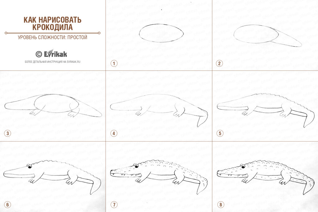 Як намалювати крокодила - малюємо великого крокодила і крокодила Гену
