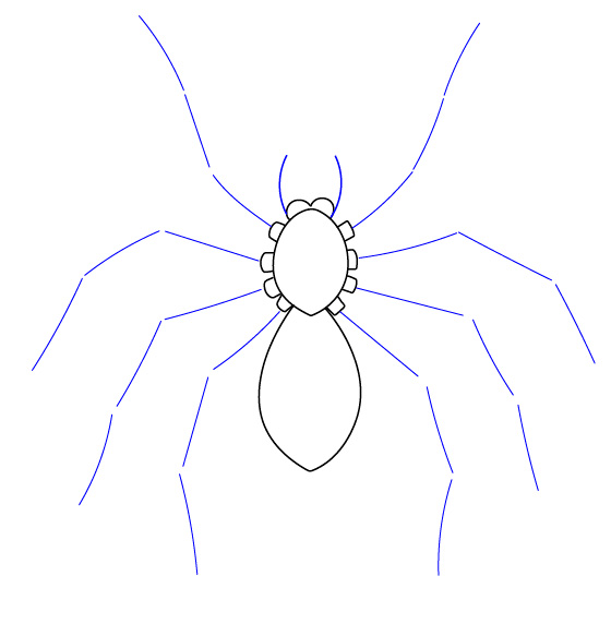 Як намалювати павука - малюємо павука поетапно, а також людину павука