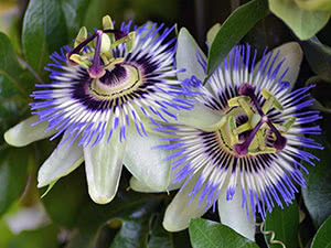 Як побороти безсоння